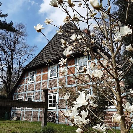 Schoenes Apartment Vor Den Toren Hamburgs - Keine Monteurwohnung Asendorf Zewnętrze zdjęcie