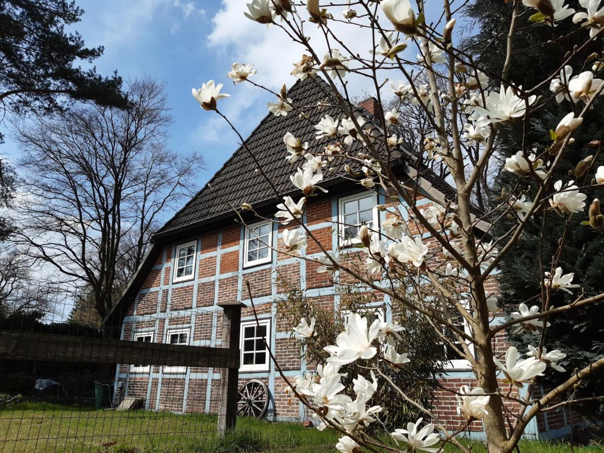 Schoenes Apartment Vor Den Toren Hamburgs - Keine Monteurwohnung Asendorf Zewnętrze zdjęcie